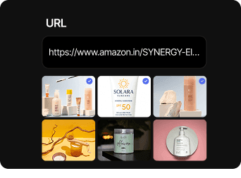 Describe or Link Your Product