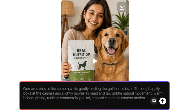 Text to Video
