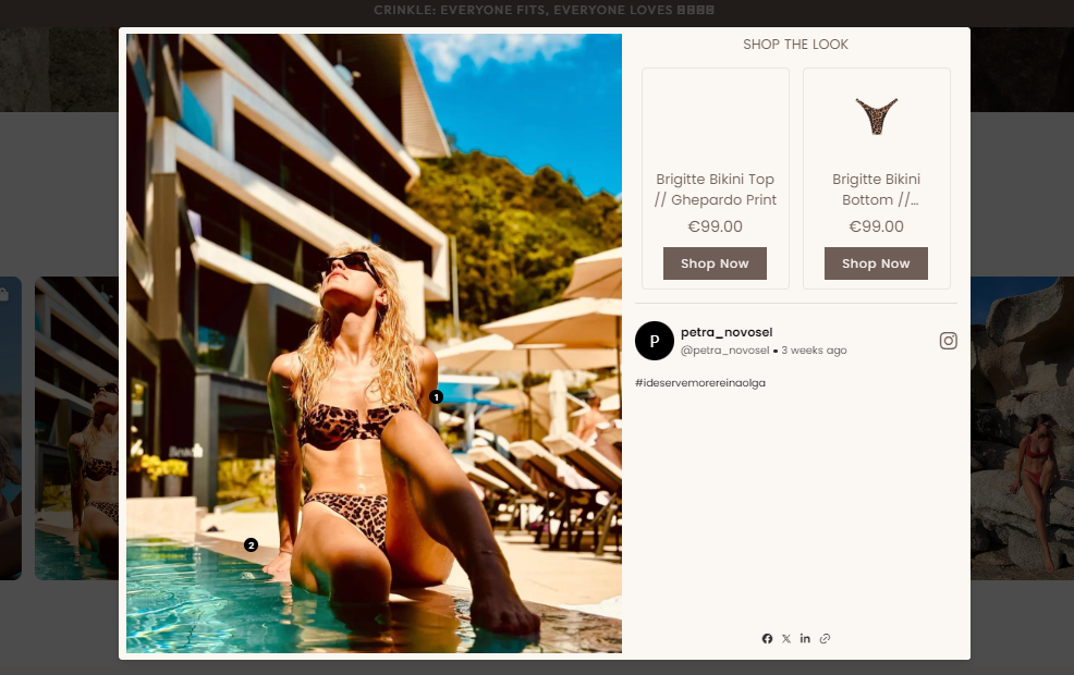 reina olga shopify store example