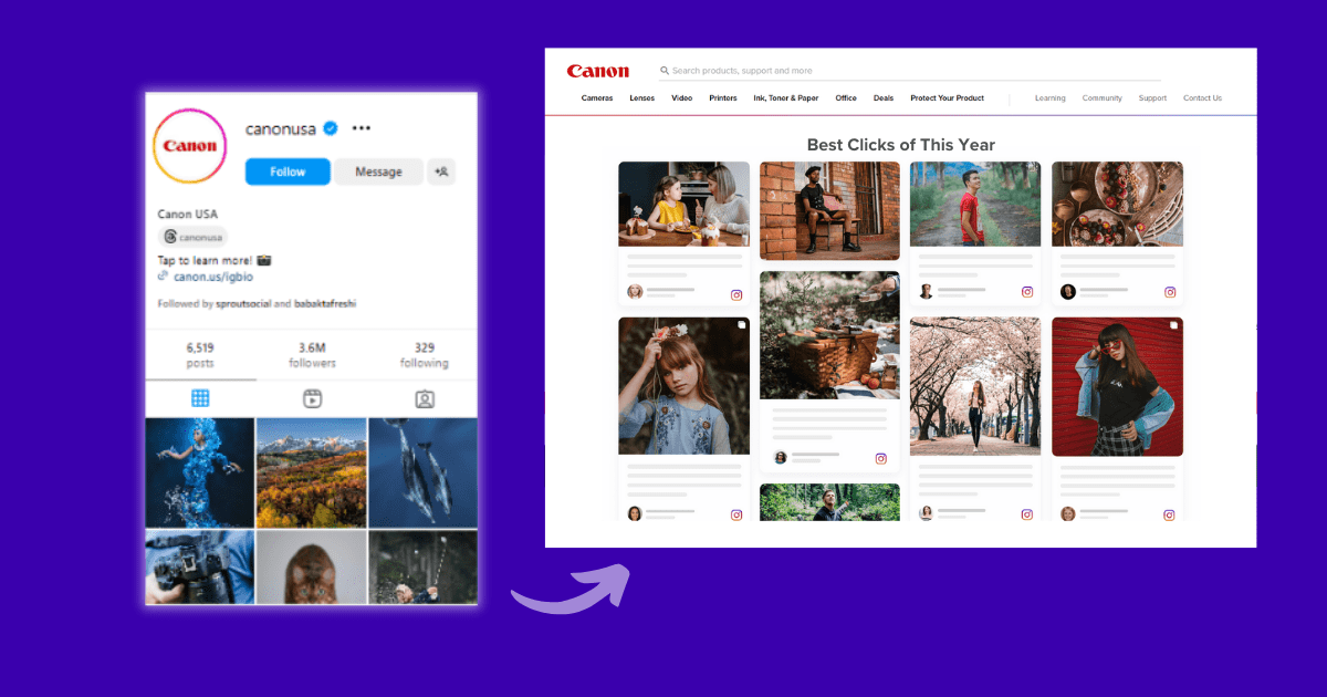 Embed-Instagram-Profile-on-Website