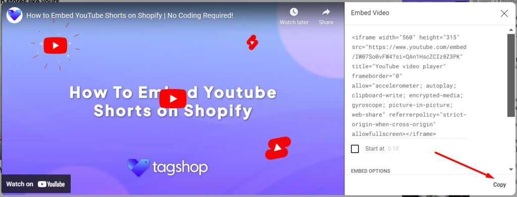 display youtube feed on website