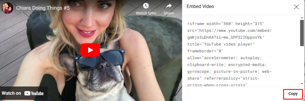 embed video on wordpress