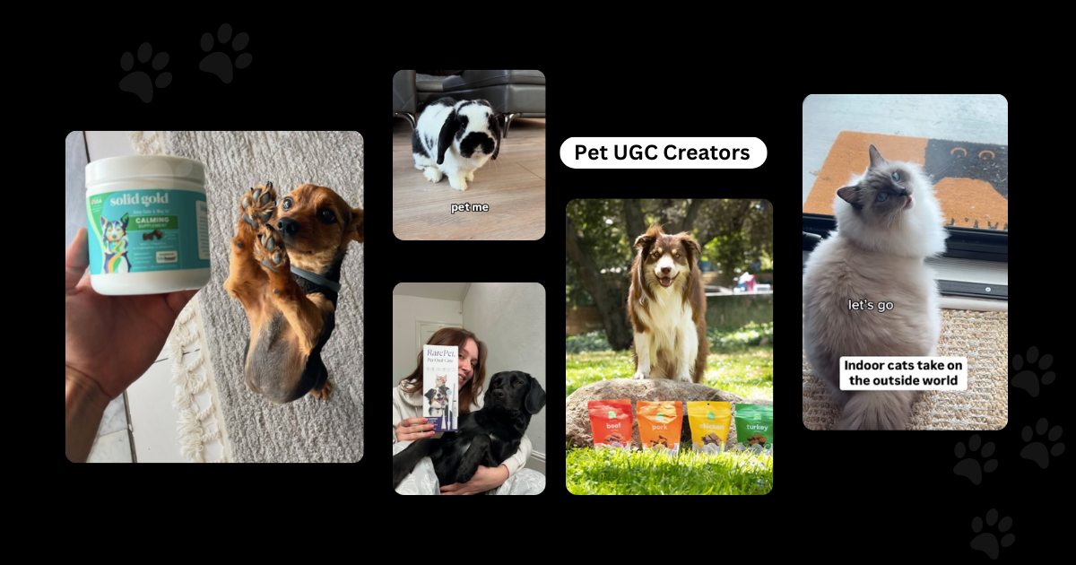 Pet UGC Creators