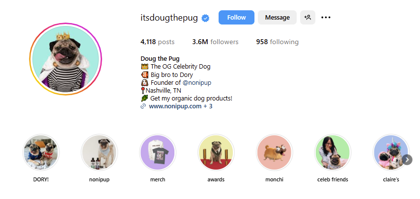 dog food product ugc creator