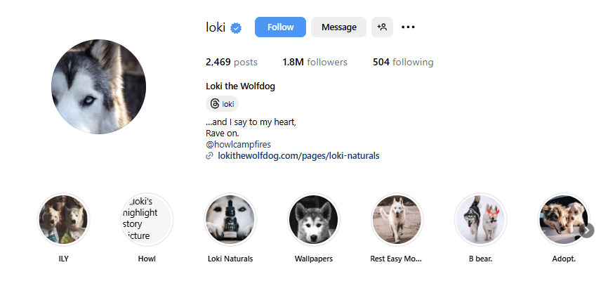 dog video creator for ecommerce products