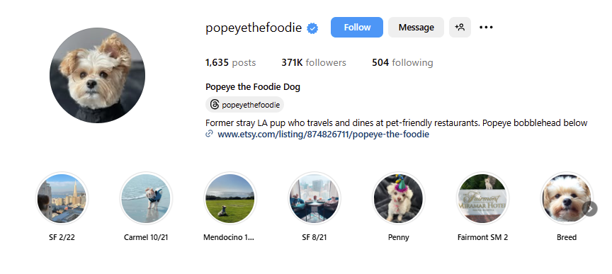 dog ugc creator for products
