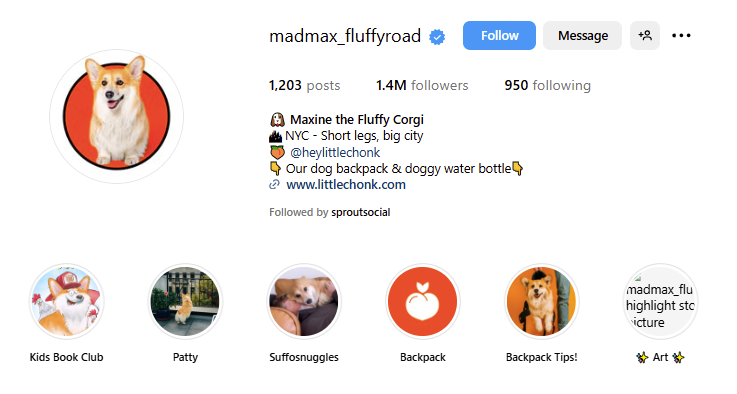 ugc creator for dog products