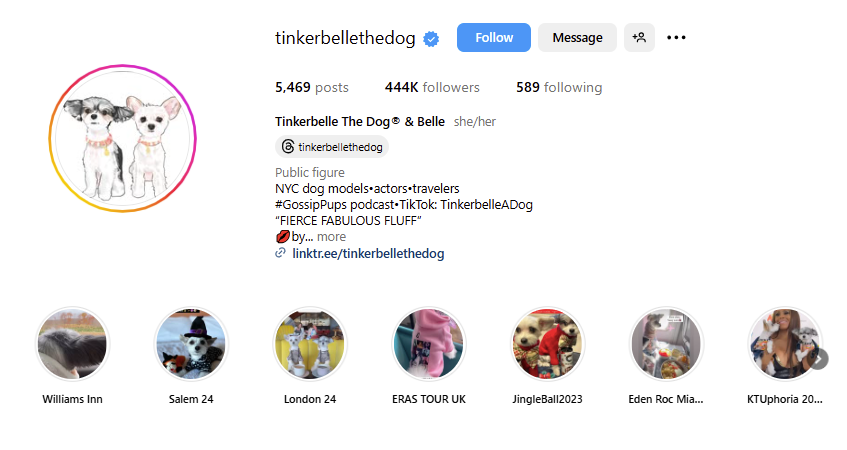 ugc creator for pet brand
