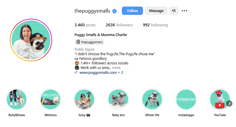 pet ugc creator