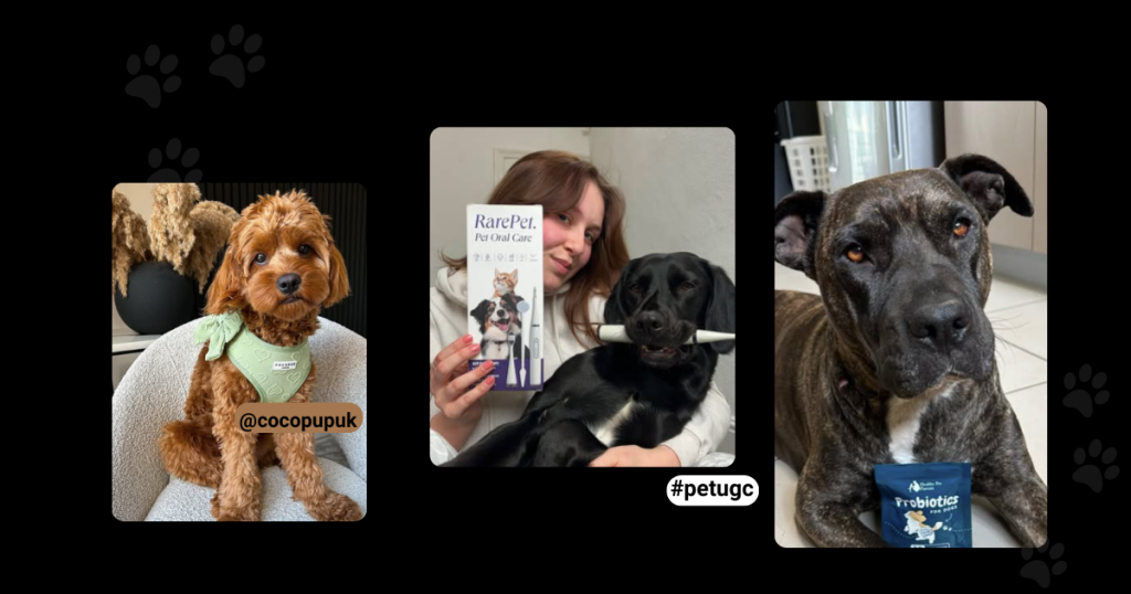 what is pet ugc creator