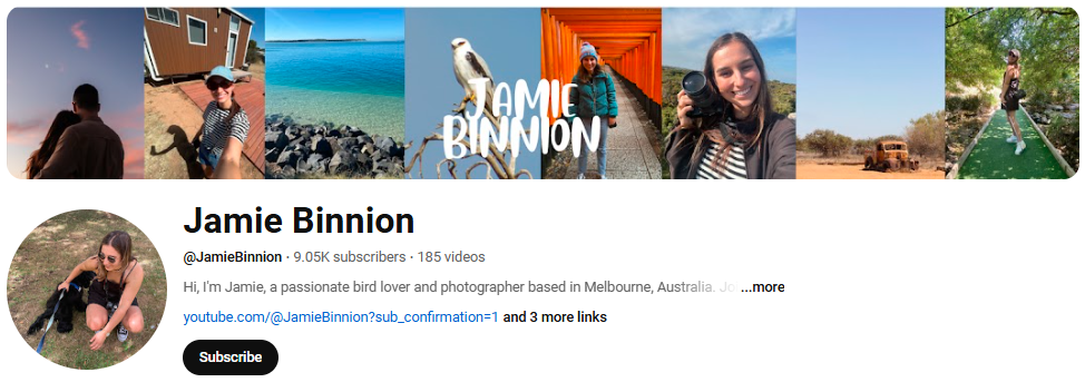 youtube ugc creators